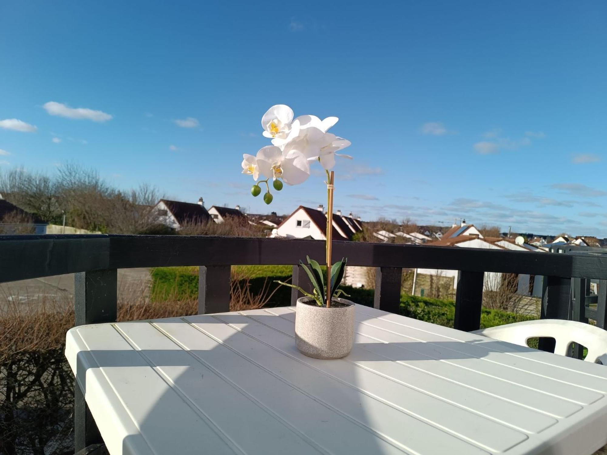 Apartment Luna By Interhome De Haan Bagian luar foto